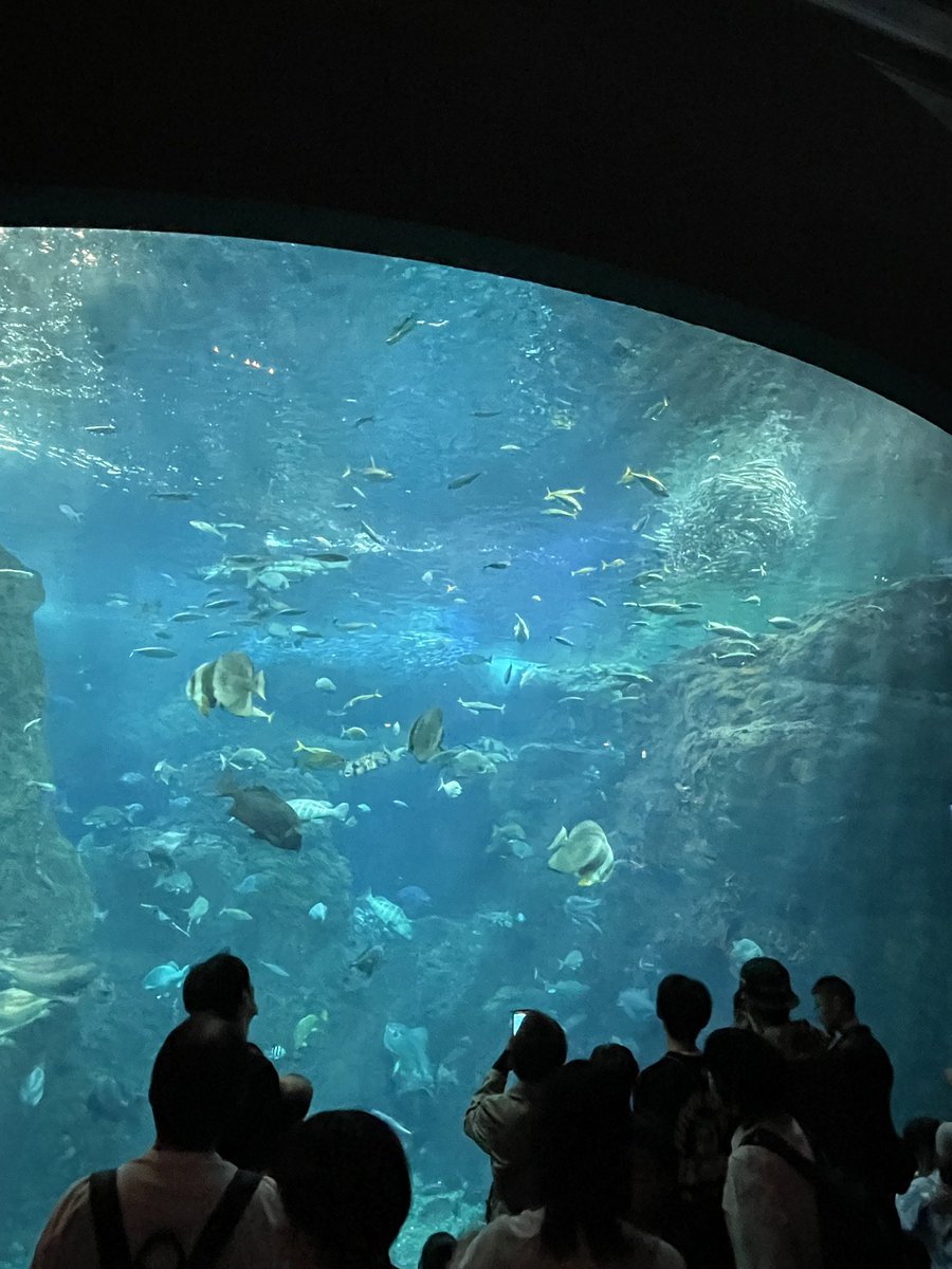 tsuji76's tweet photo. シルバーウィークは湘南、鎌倉へ家族旅行

夜通し運転して新江の島水族館にきました

台風くるぞー！ https://t.co/VYmsjdzjRK