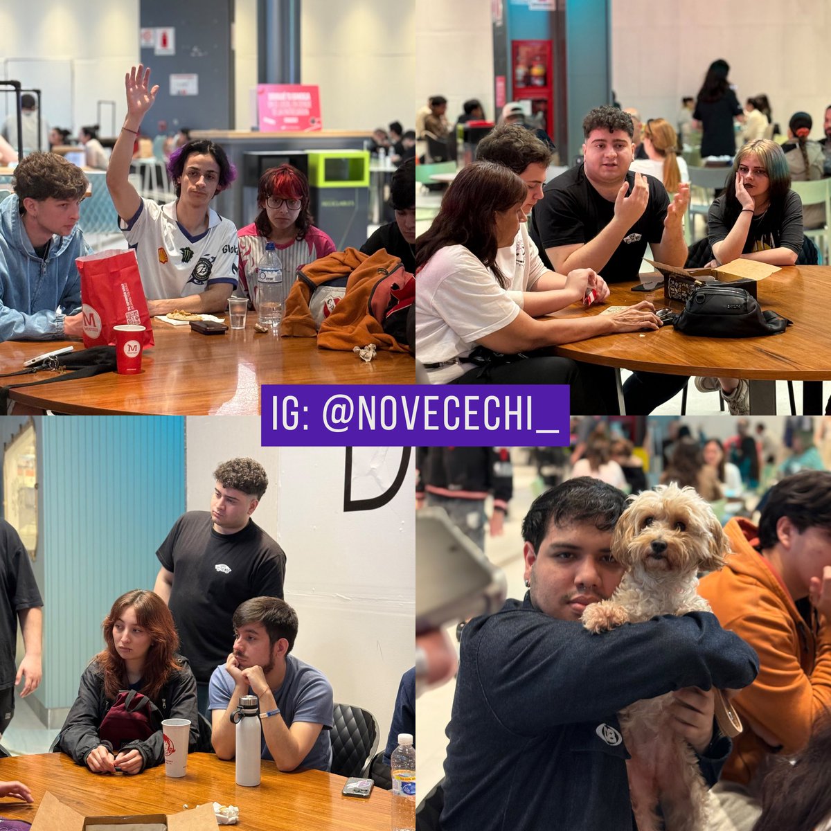 NOVECECHI's tweet photo. VOLVEMOS A INSTAGRAM

Creamos una nueva cuenta de Instagram para mantener informada a toda la comunidad 👊

Perdimos el acceso de la anterior cuenta y mientras esperamos respuesta del soporte de Meta, estaremos usando este: https://t.co/td3shcznvI

¡TODOS A BANCAR LA CUENTA! 💜 https://t.co/wfpDnn1aQ6