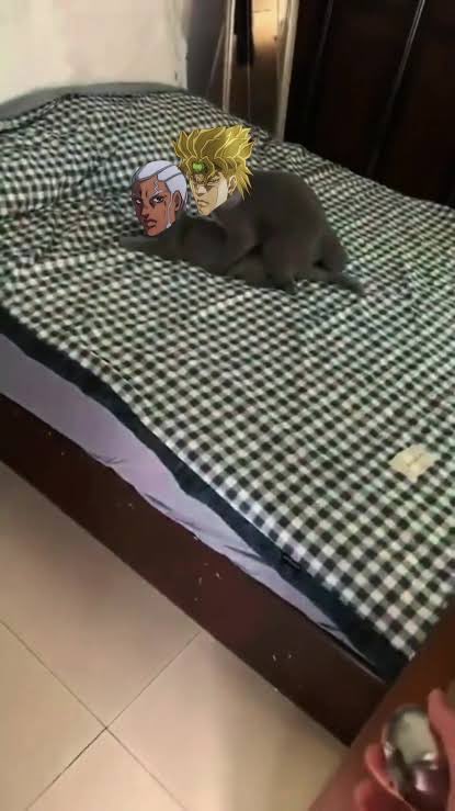 weeaboi827's tweet photo. https://t.co/FQtyLDRWpz
