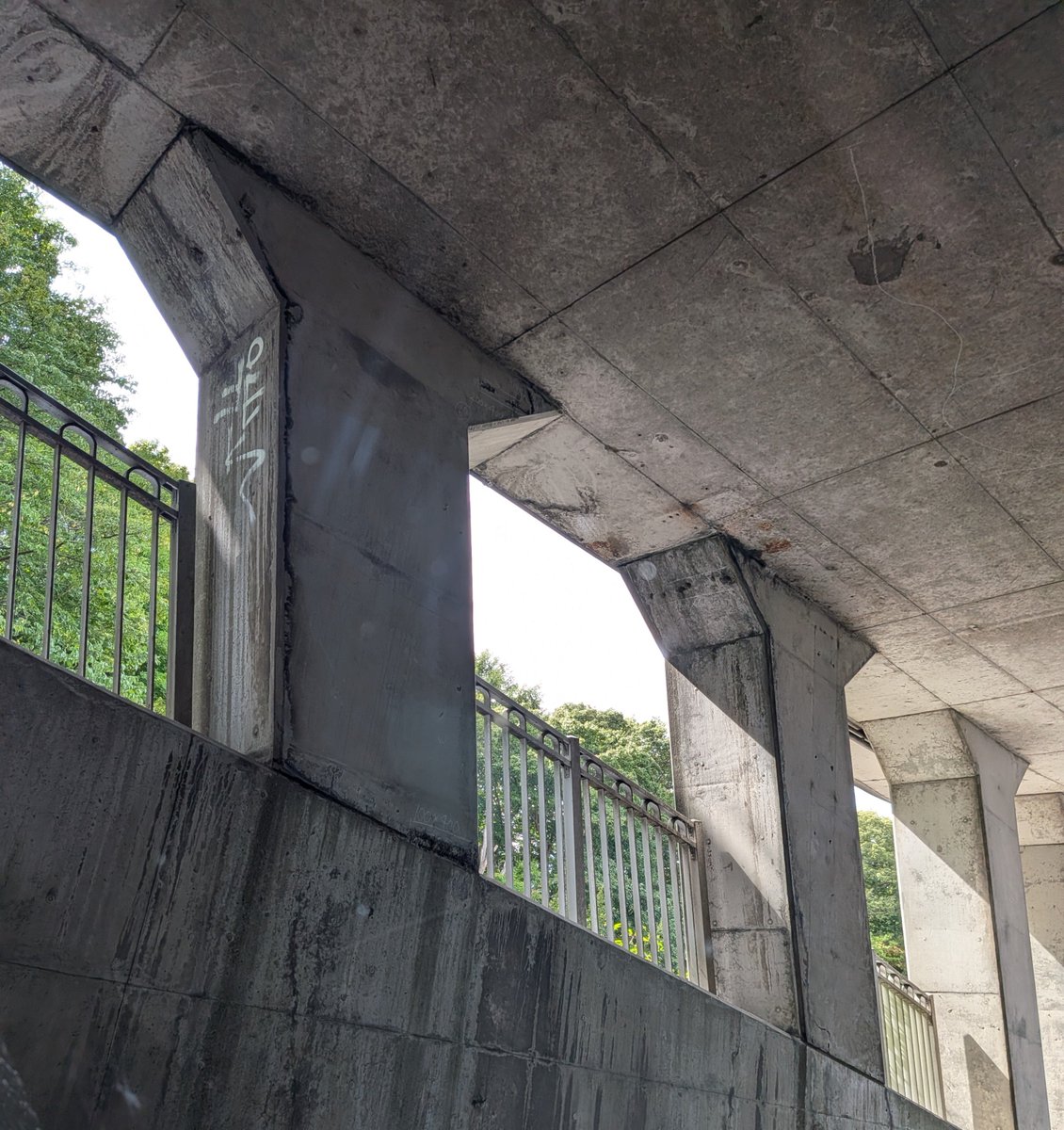 eito_sapporow's tweet photo. 札幌の今日はまだ夏っぽくて良い https://t.co/gykFanDwi8