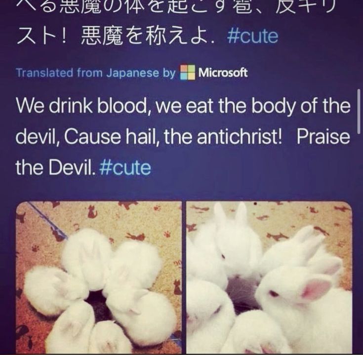 soperadicalist's tweet photo. omg my first four https://t.co/CAwi4lglhr