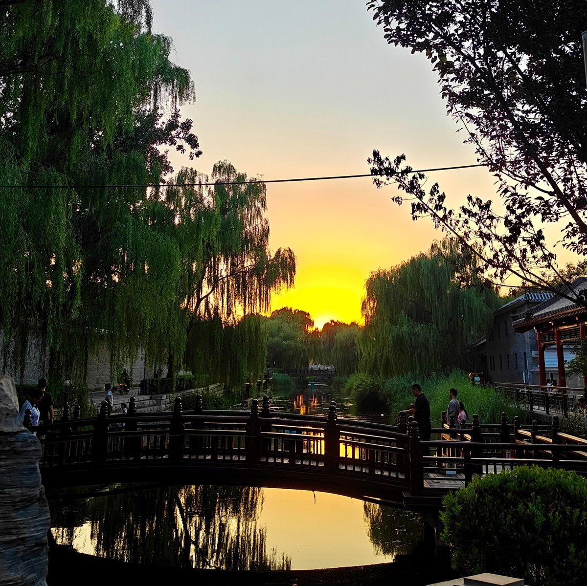 BeijingTourismX's tweet photo. A quiet corner of Beijing where history meets the water. Take a stroll along the Yuhe Relic Site and enjoy a different side of the city. https://t.co/dQrx6iF57z
