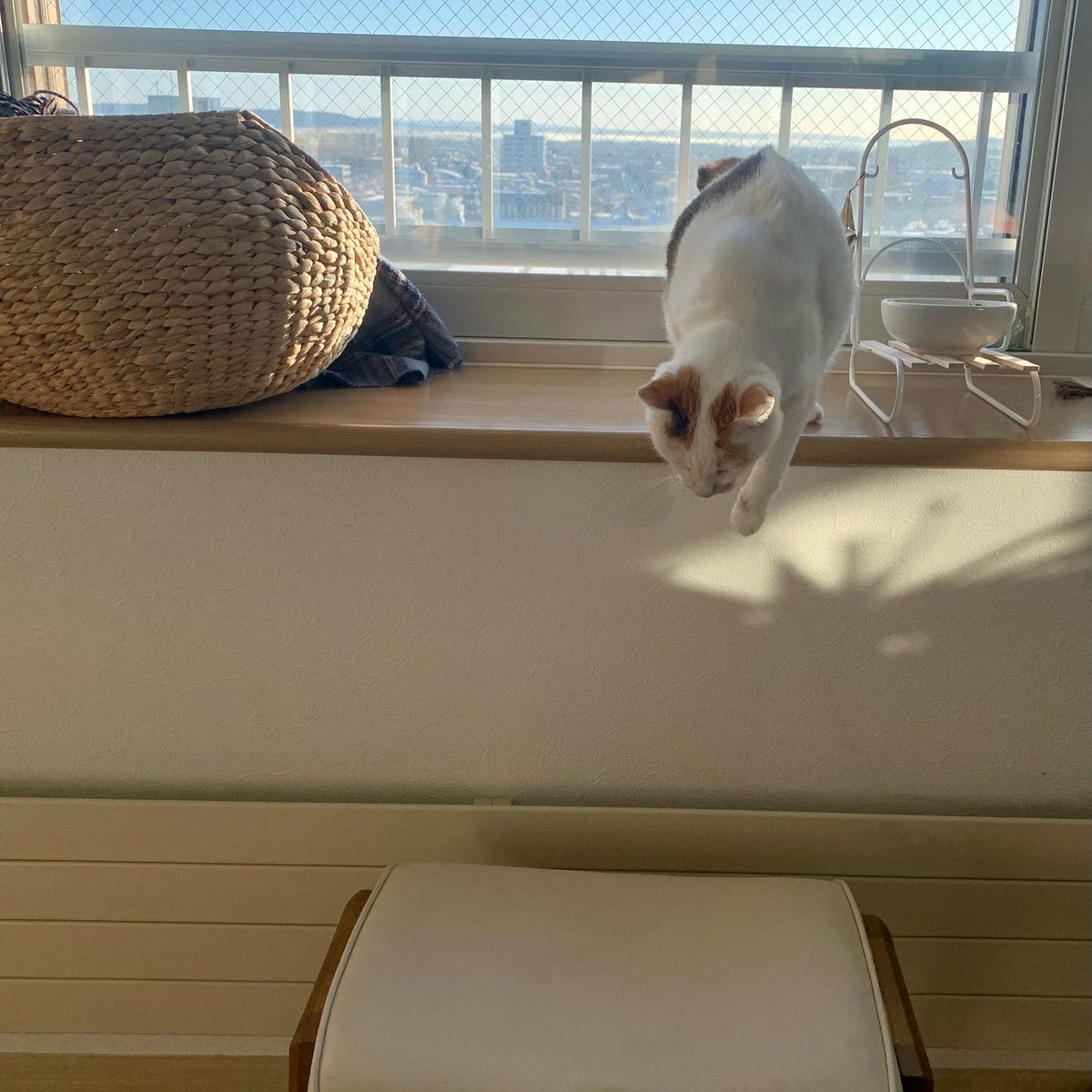 EdraCalderone's tweet photo. 昨日までこだわっていたことが、どうでもよくなる瞬間が好き。 https://t.co/Ift4W4Rs9V