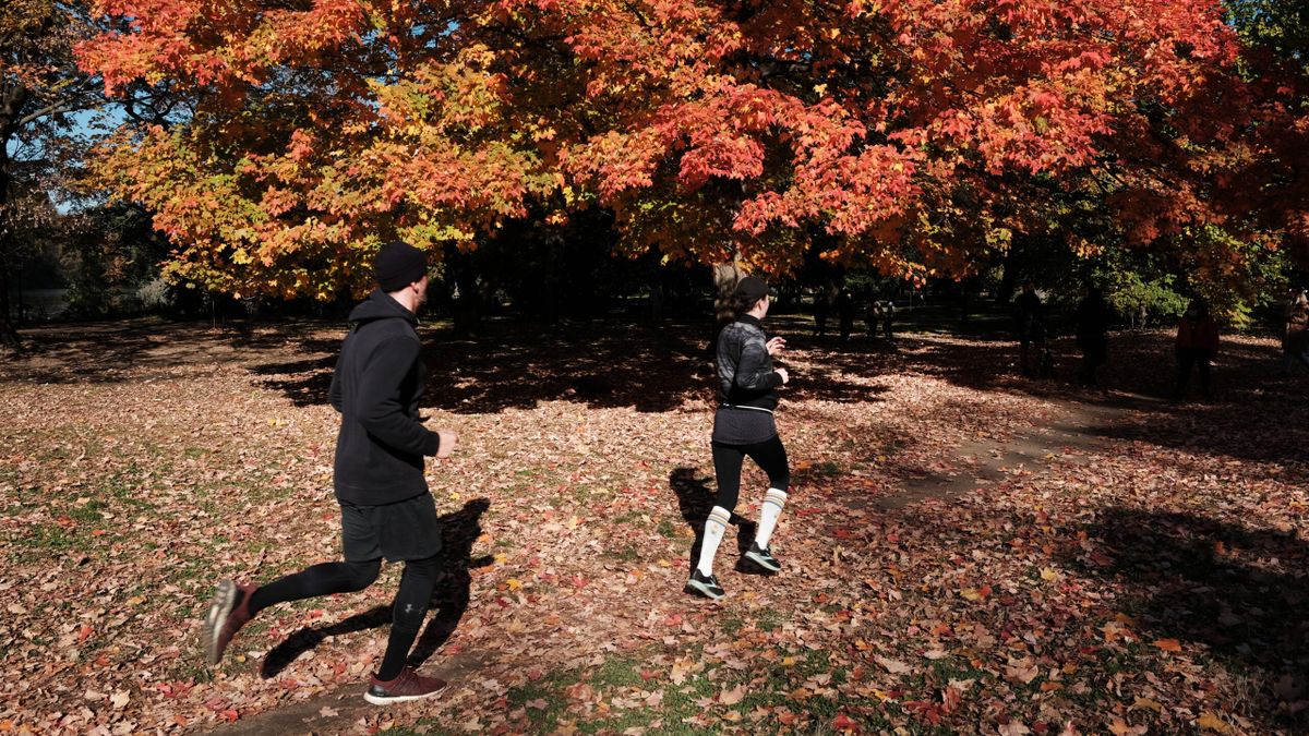 3 Speed Workouts to Make Your Fall PR Dreams Come True