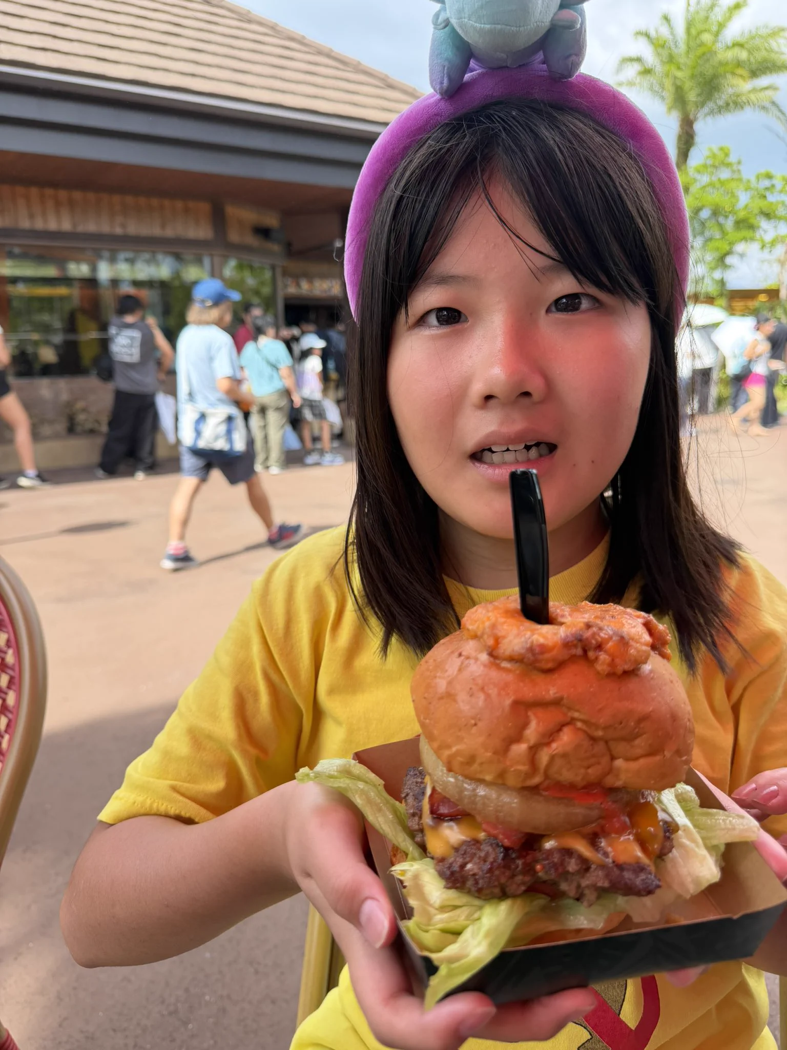 🌺🌴やんばるエクスプローラーズ🪸🌴🌺【沖縄本島北部限定チャンネル