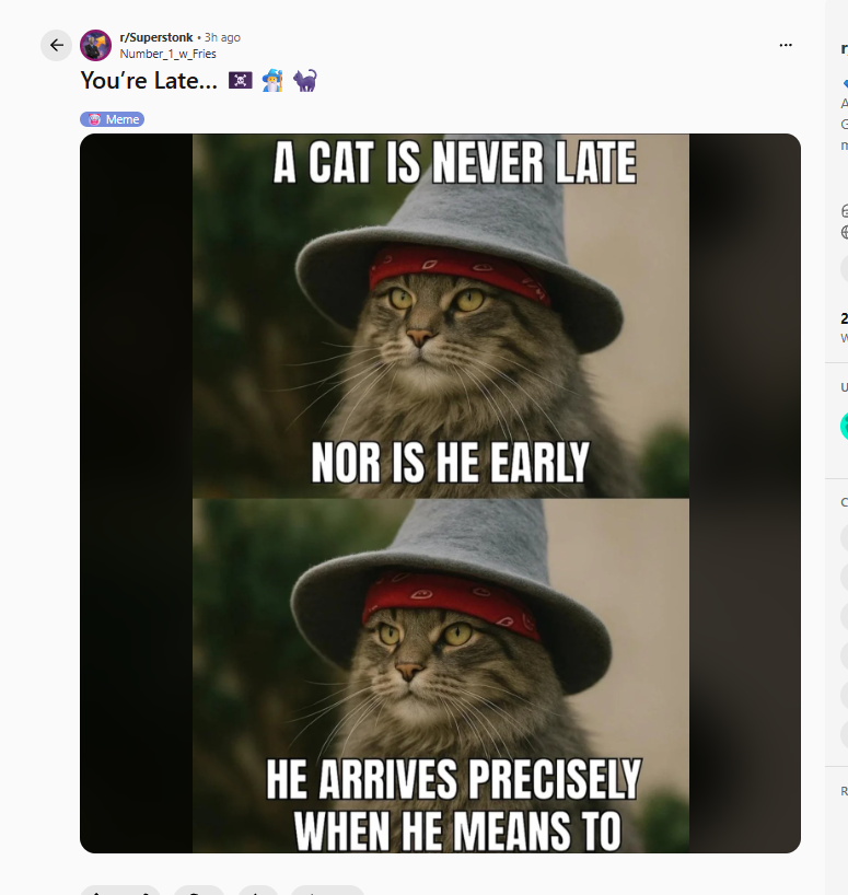 ddddddd8a's tweet photo. They're using a wizard cat on Reddit as a meme on the r/Superstonk subreddit for Roaring Kitty's new post?

Pairing it to GME, everyone in the subreddit is talking about Roaring Kitty being back

https://t.co/K8822JLk5I https://t.co/RvqQ7xAu0Q
