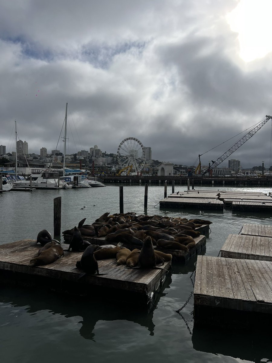 Winlee_CNC's tweet photo. Sf 

The entrepreneurial atmosphere is great. 

Do you have any partners who need me to provide you with parts? 

We can talk about coffee time. https://t.co/R59Lplg5FM