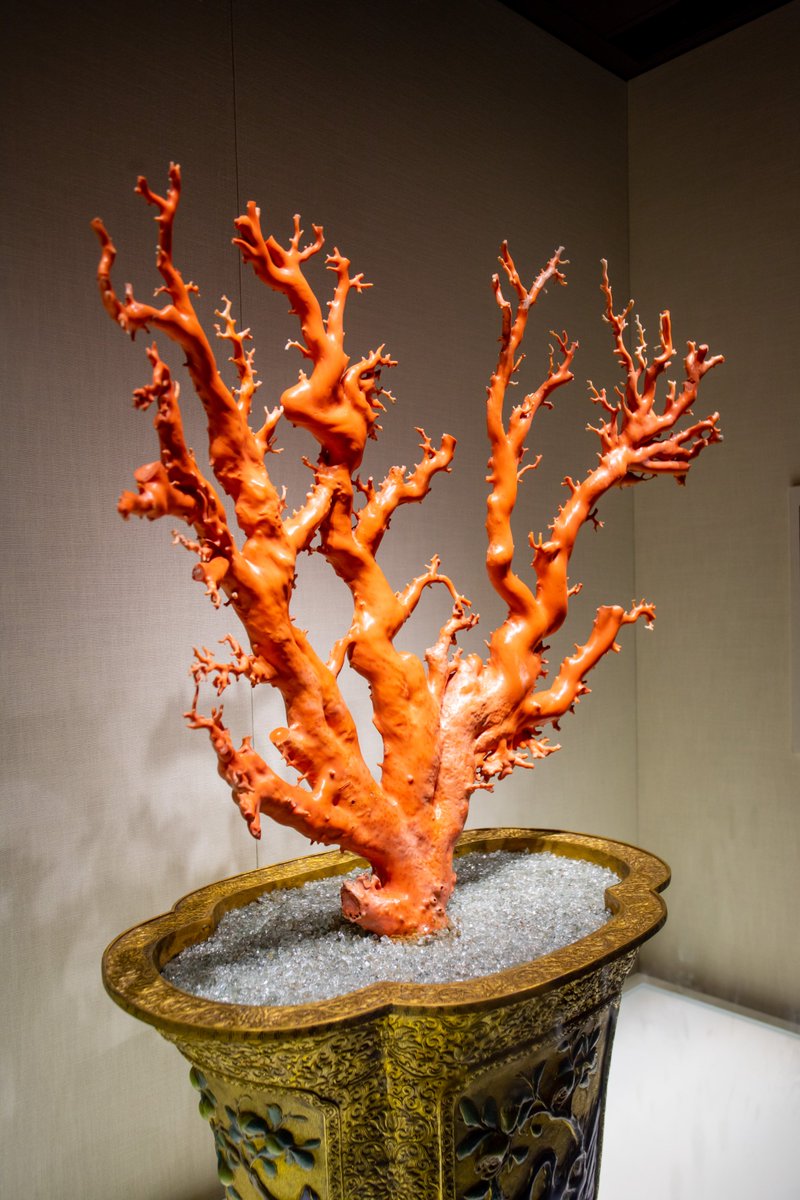 BeijingTourismX's tweet photo. From tiny jade carvings to dazzling gold and jewels, the Treasure Gallery at the Forbidden City is packed with royal treasures. https://t.co/4L6rAvW1Lv