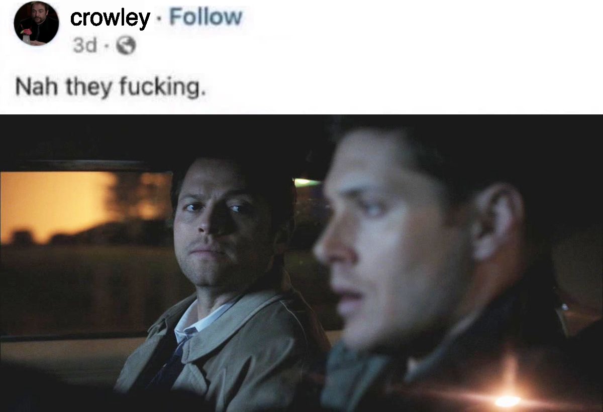 lemonmaede's tweet photo. crowley driving the destiel bus here https://t.co/EXF0YnAbrw