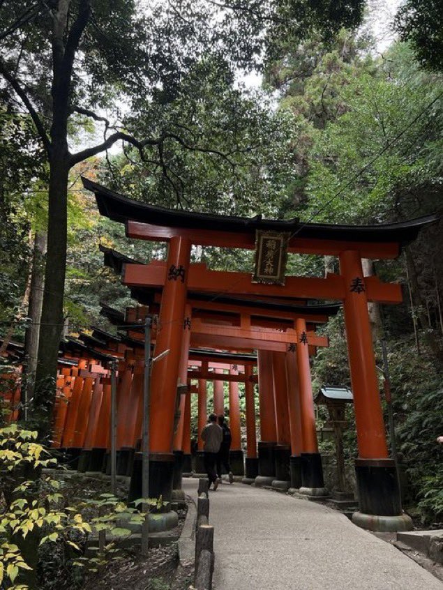 viewsoff's tweet photo. Kyoto, Japan 🇯🇵 https://t.co/wdAoZUELlE