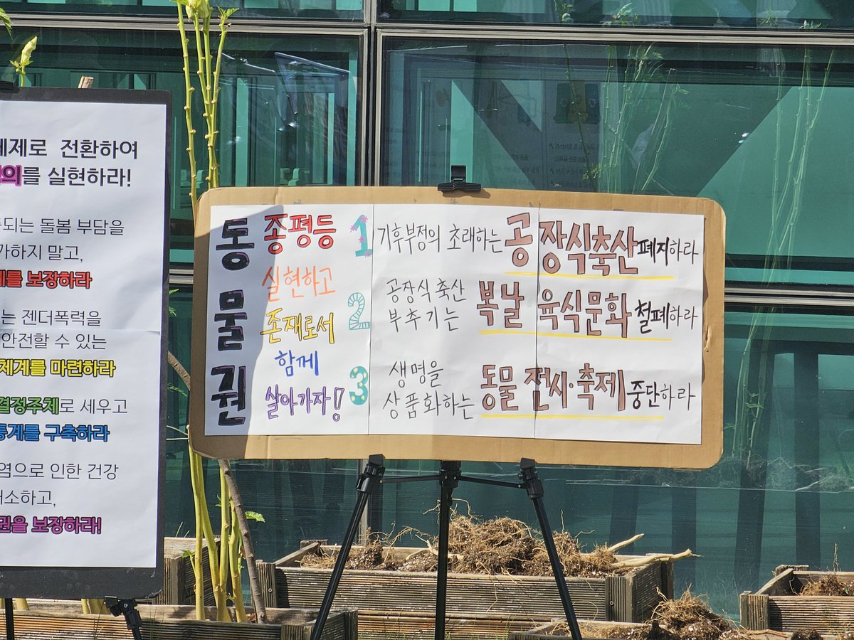 animalmoim's tweet photo. 동물교회는 광주기후정의행진의 동물행진과 함께 했습니다. https://t.co/WiC9tXrJnD