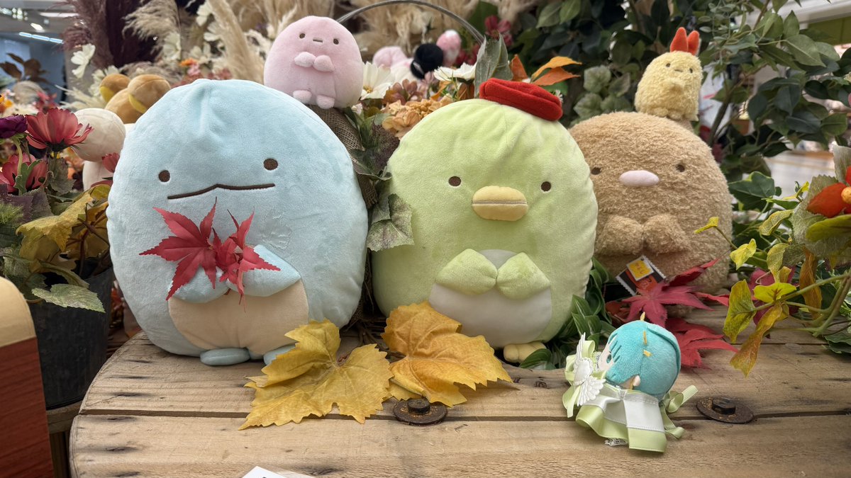 R_dwks_R's tweet photo. ﾜｧ~~~! https://t.co/qCMMAg7Cy7