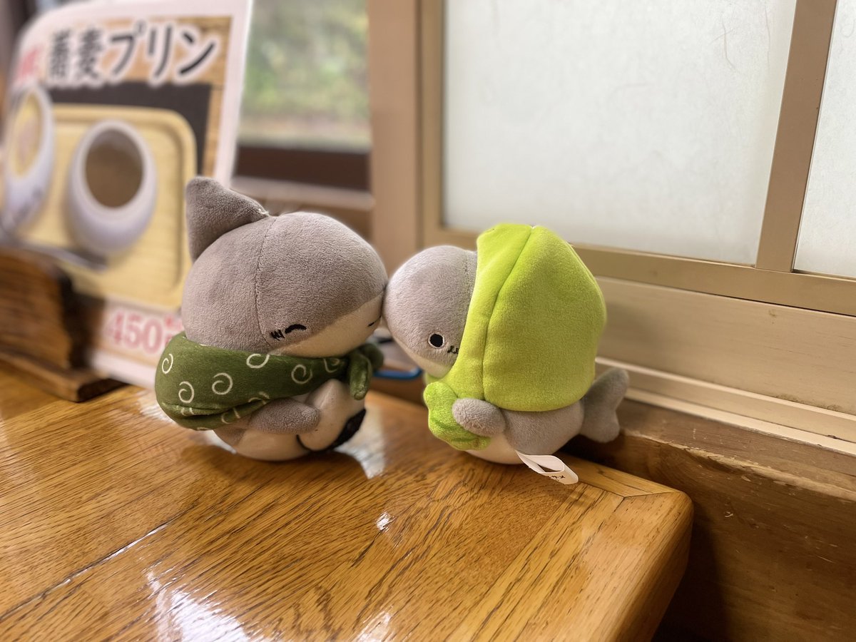 same3_mame3's tweet photo. 老ザメちゃん見てると本当に切なくなる
僕がいっぱい色んなところ連れてったげる https://t.co/7Pu0t44N5O