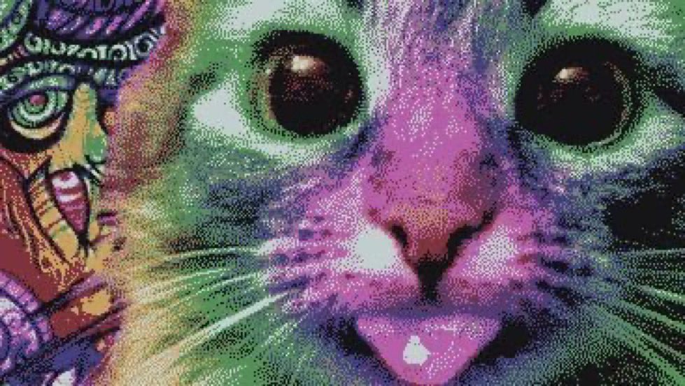 cometfuzz's tweet photo. high and drunk 😼 https://t.co/kXyN1dV81z