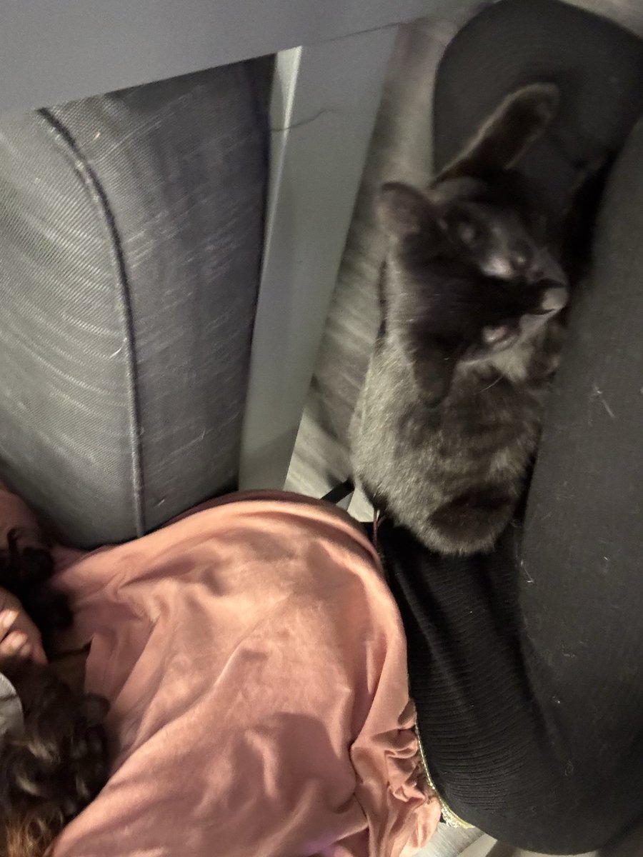MaskedHottiee's tweet photo. I went to my first Covid Cautious event and had an amazing time at the cat cafe!!! Wow what a beautiful day! https://t.co/NDu6LKiotk