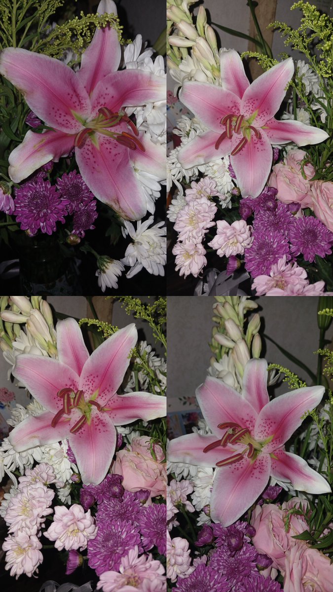 belaprpts's tweet photo. Akhirnya liliku selamat. Semalem udah khawatir dibawa dalam kereta 5jam, pas turun stasiun udah letoy bunganya. Sampe rumah langsung tak masukan vas trs kasih flower food eh selamat. Ya ampun cantik bgt euy baunya jg enak 😍 https://t.co/W4MGWXKjSO