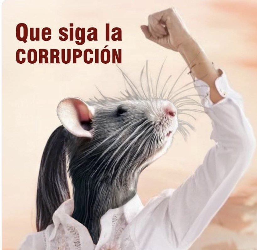 luisggt's tweet photo. @RosaHoldo Con "a" de mentirá. https://t.co/vIS929O6eL