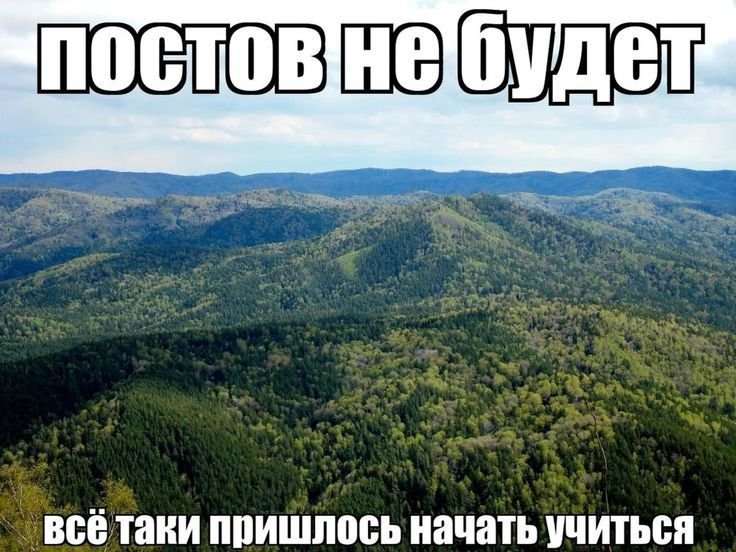 Vissyngr7's tweet photo. https://t.co/dTPDvQI3qn