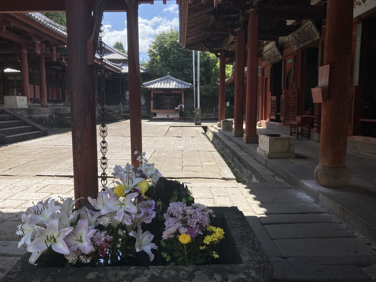 fuurai6211's tweet photo. 崇福寺！南国感も漂う分かりやすい唐寺🙏🌴
なぜか毎回来てしまう不思議な魅力があります✨
境内全域が撮影自由＆SNS投稿可なのもありがたい♪

最近、電停の名前が正覚寺からこちらに。
近いのは向こうだと思うけど観光的な思惑かな？ https://t.co/BQ9yJEk27O