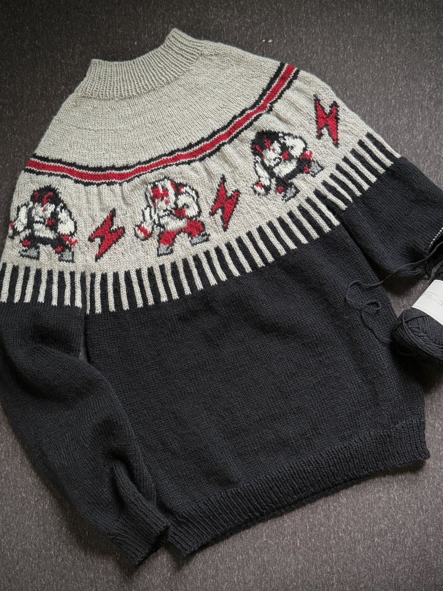 _BAKA_SURVIVOR's tweet photo. アレックス柄のダセーター編みました🧶 https://t.co/yGejlIvDo4