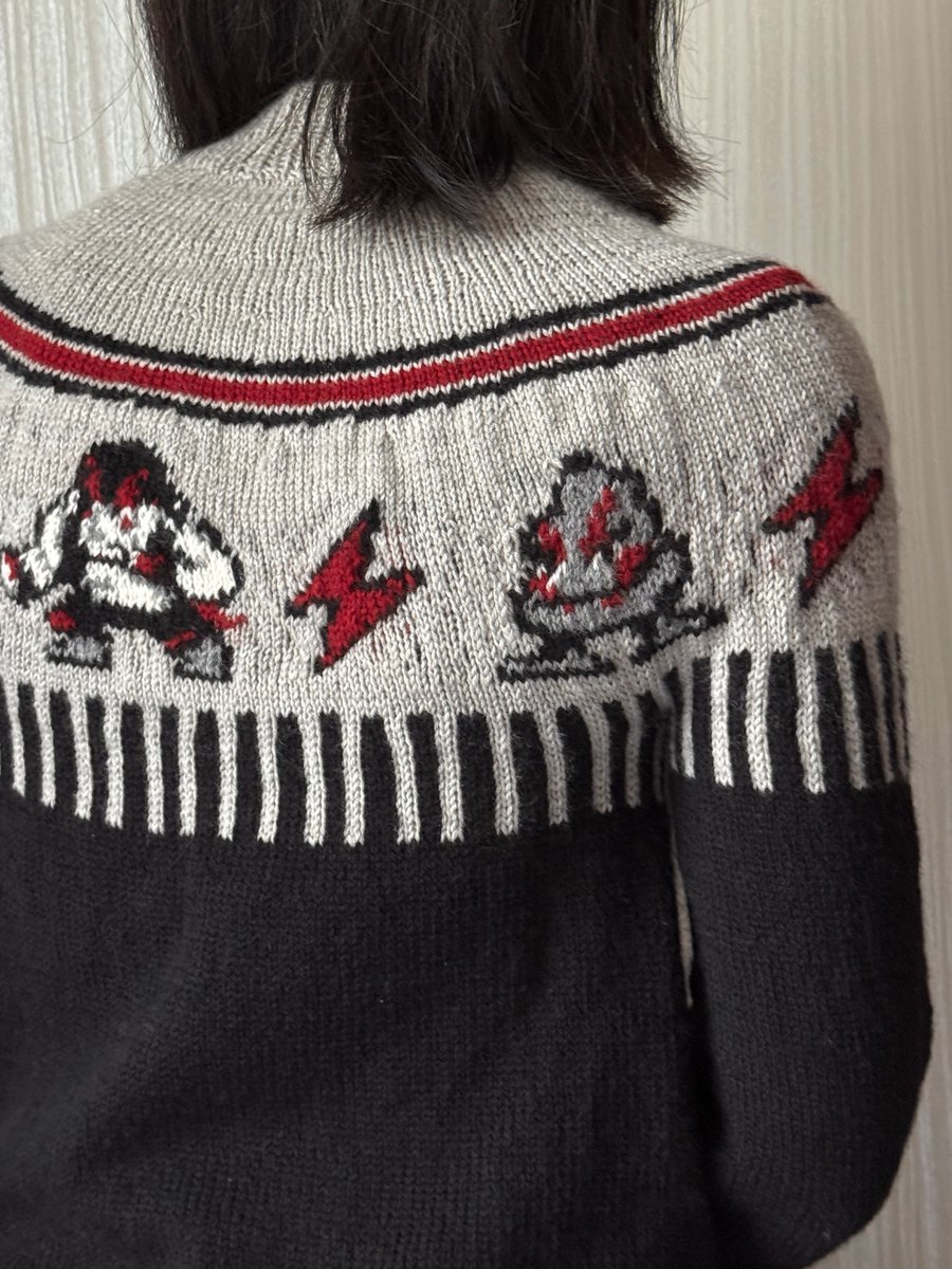 _BAKA_SURVIVOR's tweet photo. アレックス柄のダセーター編みました🧶 https://t.co/yGejlIvDo4