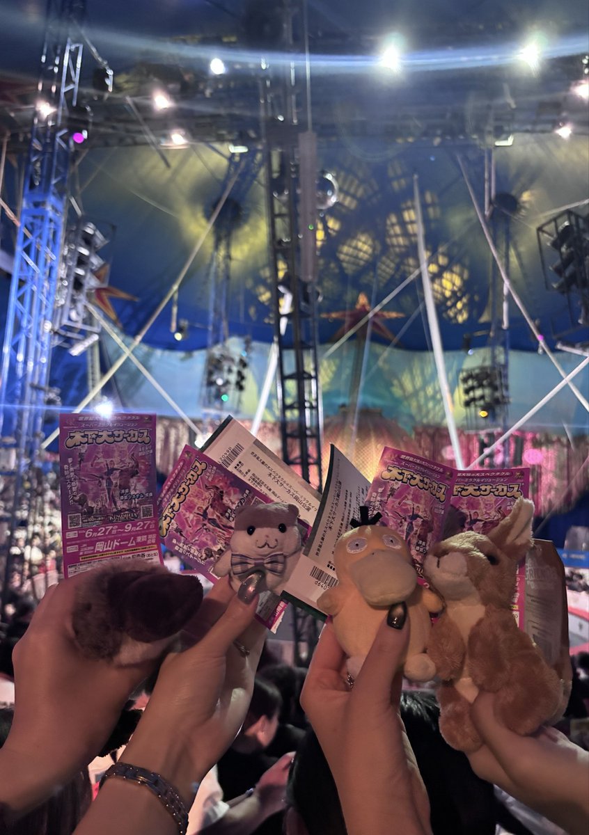 hamham_udon's tweet photo. サーカﾁｭ🎪 https://t.co/k9McSQoHqr