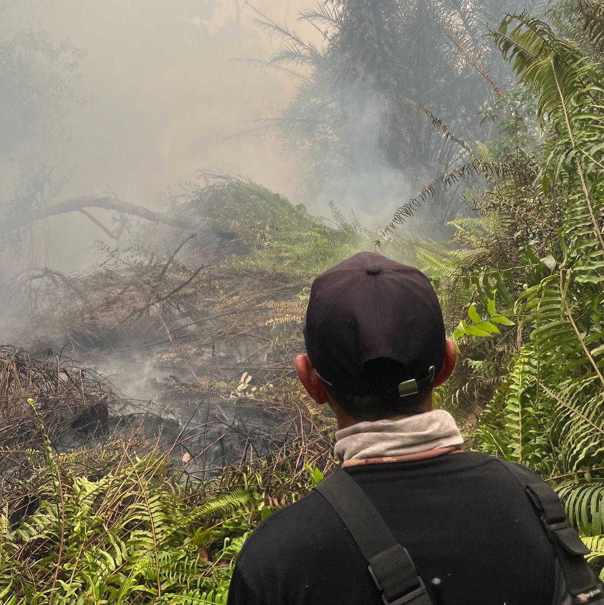 greencitzen's tweet photo. Selamat hari senin, pagi ini menyentuh 1772 😷

Sehat-sehat warga Kalimantan 😢 https://t.co/mq61tk6jkS