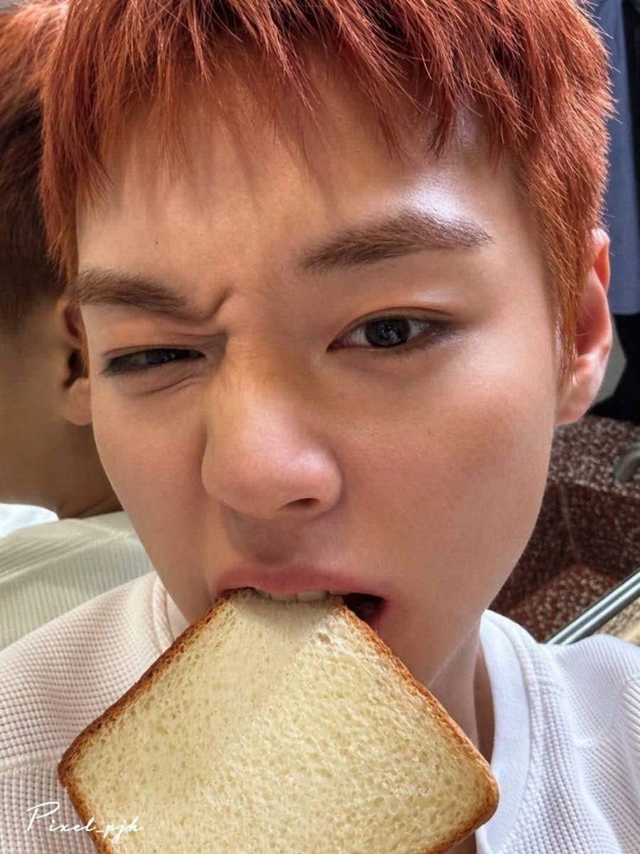 monthjh's tweet photo. 훙자님이 식빵 물면 소녀 죽죠 , https://t.co/7IaE9w8rkl