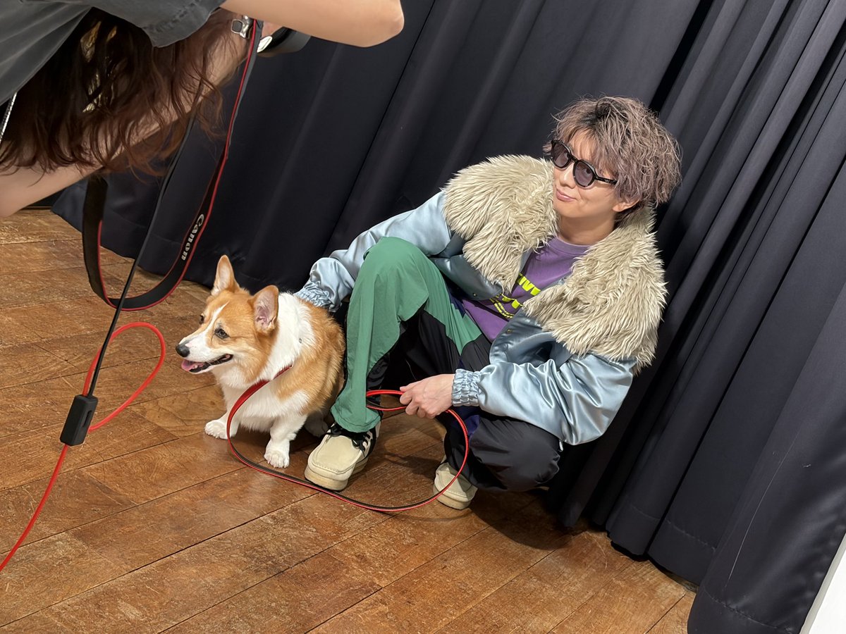 TVguidePERSON's tweet photo. #酒と泪と良平とわんこ 10/2(金)発売🐶

🐕DVD付き限定表紙版
Amazon https://t.co/t4VAUqLYDh
楽天ブックスhttps://t.co/X0WIueYsqT

🐩イベント参加抽選券付きアクスタ
アニメイト絵柄A https://t.co/qQobk7oSHO
ゲーマーズ絵柄B https://t.co/VJUL1ufc1D

🦮直筆サイン入り
https://t.co/YnZ8EsVbgE https://t.co/5jaNH2vZ4B