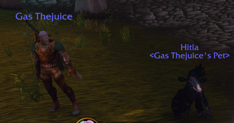 kaseius's tweet photo. @Warcraft When trying to report this player, I'm being told that the reporting system is offline. https://t.co/gvbHHDEHBx