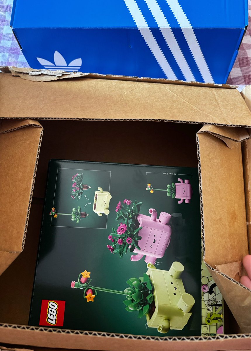 Celleessttee's tweet photo. The best kind of surprise is the one you didn’t even know was coming

I mentioned botanical LEGO to James once and completely forgot about it - then it turns up at my door 

And new shoes?

Safe to say, keeping me spoiled is becoming a natural habit for him 🤭 https://t.co/pwTXNGAOWv