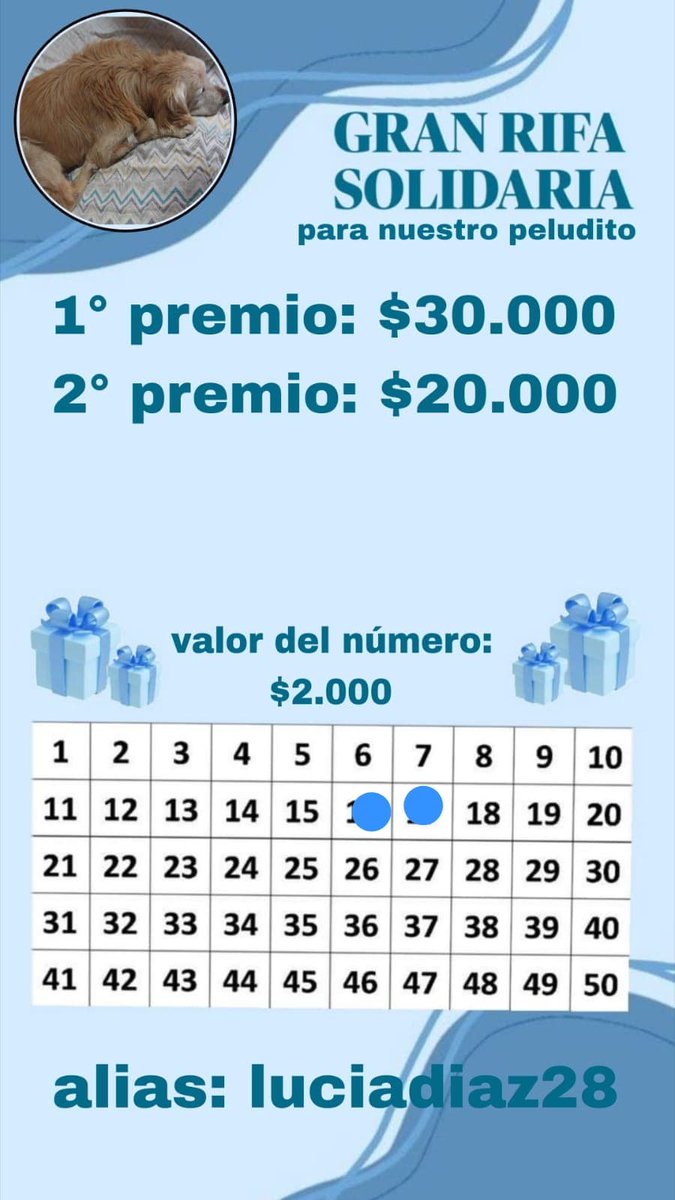 IthzLuci's tweet photo. @fedeebongiorno Buenas les ofrezco una rifa para cubrir gastos de la operación de nuestro perrito, se llevará a cabo una vez vendidos todos los numeros y sera sorteada por live. Mi alias es: luciadiaz28 y sale a nombre de eugenia lucia diaz. https://t.co/u0djfJOrh6
