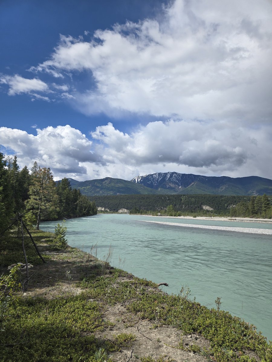 Foobunga's tweet photo. Canmore https://t.co/Yluc5koFnF