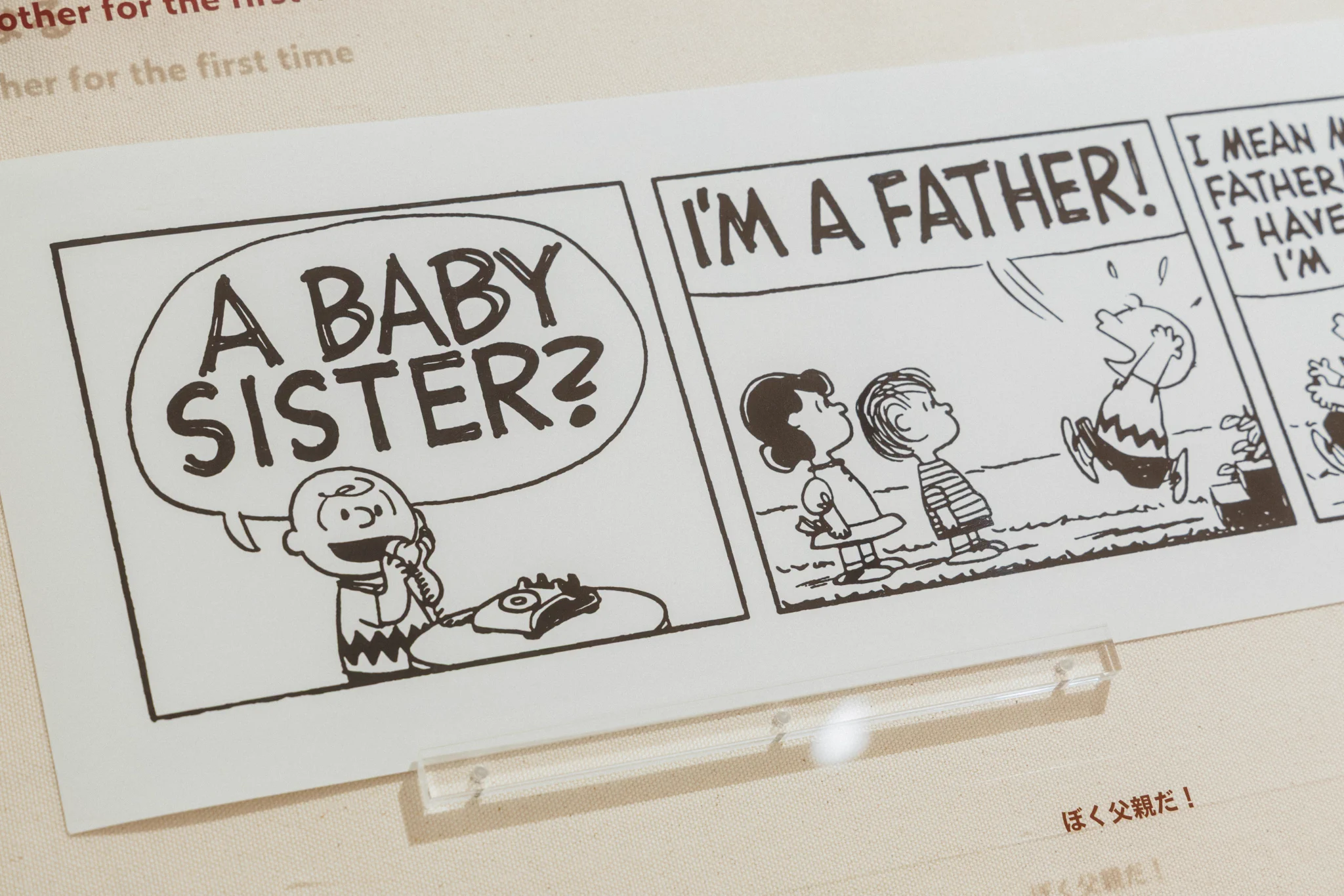 SNOOPY MUSEUM TOKYO в X: „ 企画展「Siblings are Wonderfulきょうだ