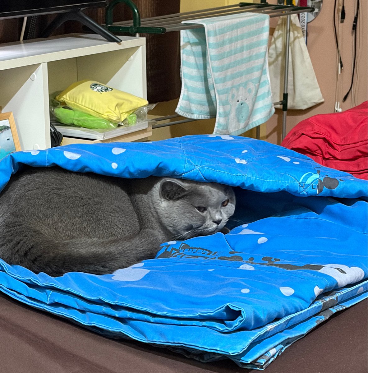 papryys's tweet photo. เก่งจังเยย สร้างบ้านเองได้ด้วย https://t.co/a2Zgw74qzu