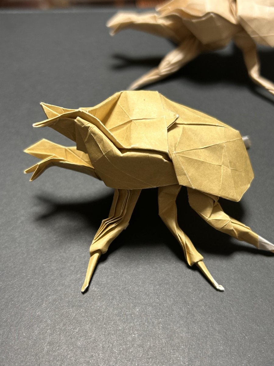 satopoorio's tweet photo. カブトムシ2026年版
4ツル版 https://t.co/AINKT55wit