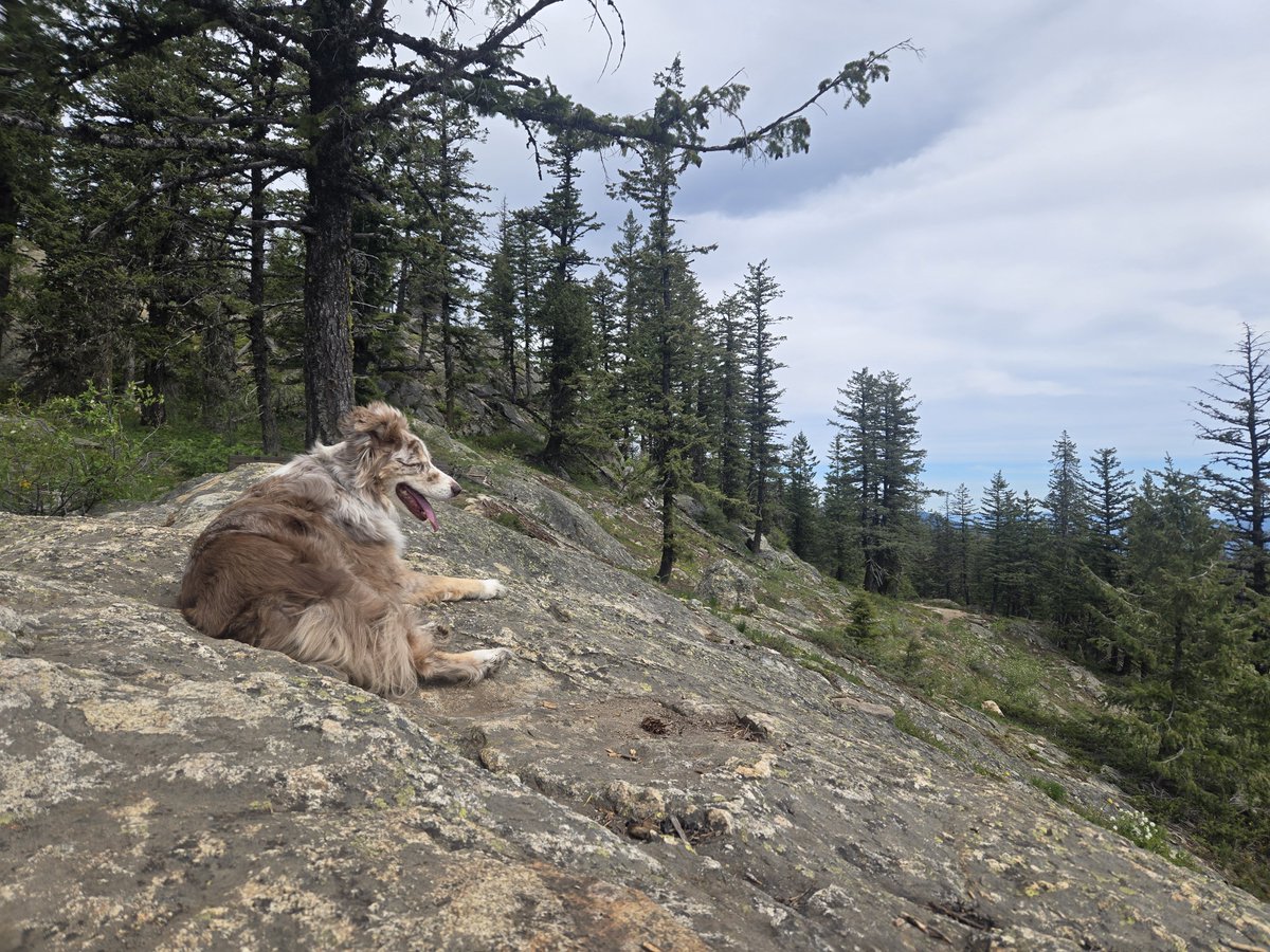 Foobunga's tweet photo. Sandpoint https://t.co/JGiOKThHCX