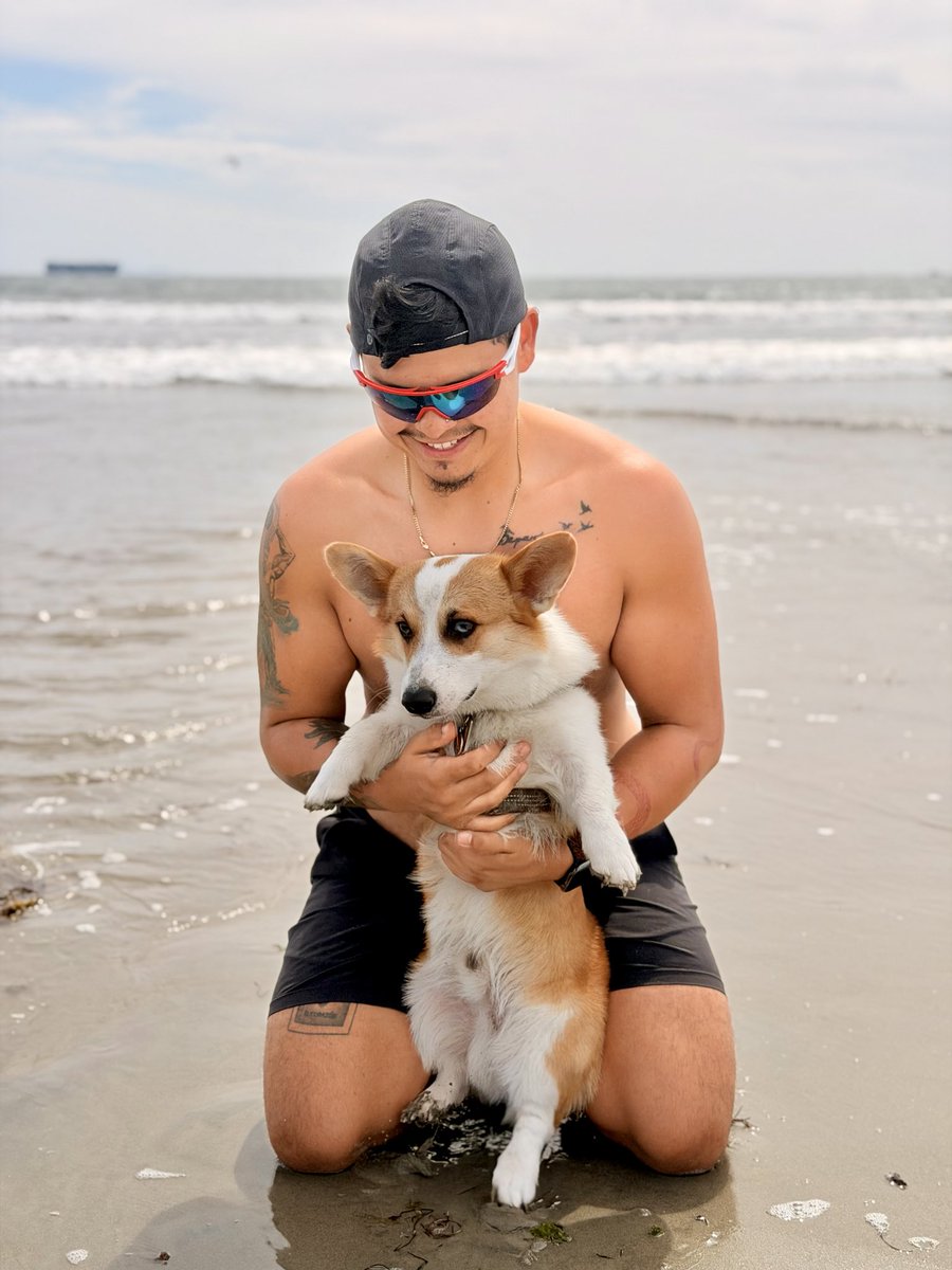 not_ebag7's tweet photo. ￼🐶☀️🌊

#corgi https://t.co/3cBXeGoYea