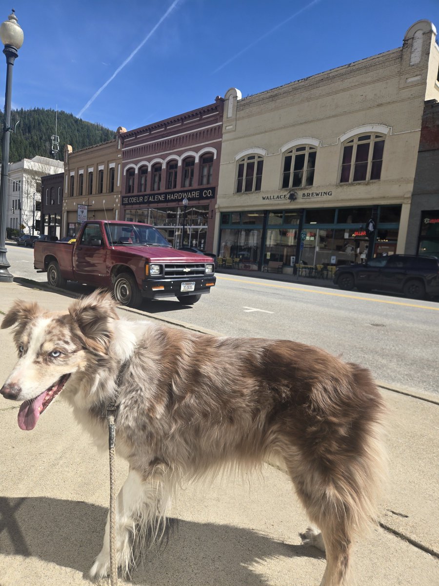 Foobunga's tweet photo. Wallace in Wallace. Just because https://t.co/g5eMzs1t4c