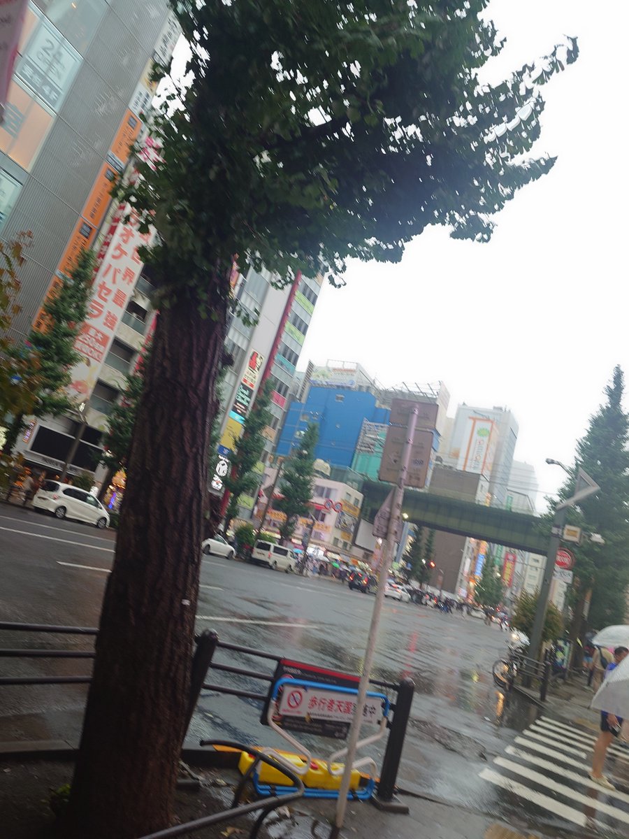 WizIdolDesk's tweet photo. 実は秋葉原にいます
台風近づいてるけど、お店は結構やってますね https://t.co/pTntuSK5vd