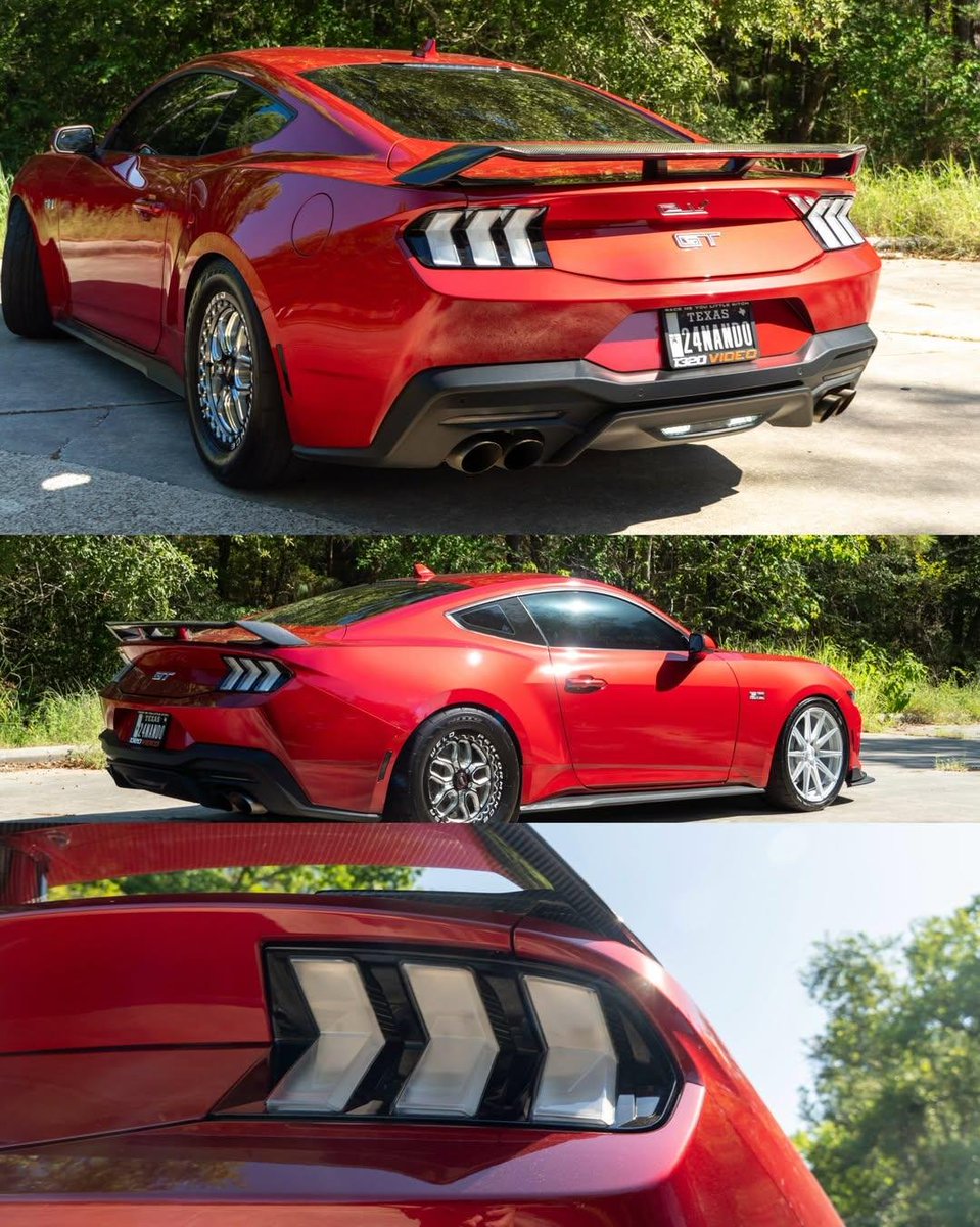 MustangRTeam's tweet photo. #Mustang https://t.co/ZVQfRDmMkb