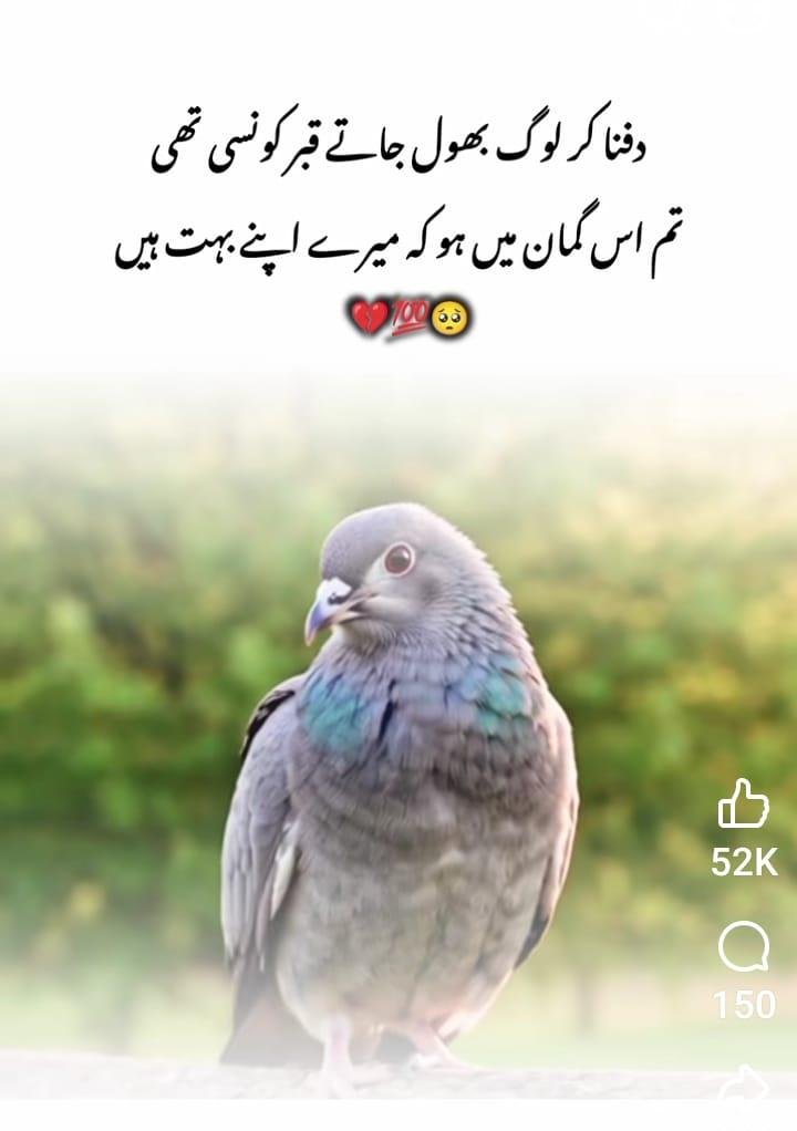 Anjum_says1's tweet photo. #Assalamu_Alaikum 

#GoodMorning 

दफना कर लोग भूल जाते है, कि क़बर कोंसी थी।

तुम उस गुमान में हो के मेरे अपने बहुत है।😳💔💯 https://t.co/iW9vlX0QY3