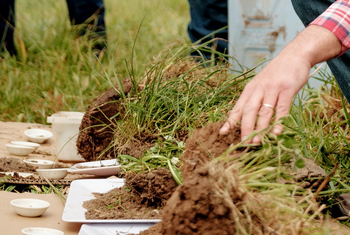 GHCMA's tweet photo. Be part of the conversation around natural capital and commerical farm businesses.
Tickets for the Chatsworth House Field Day are selling fast. If you've been thinking about going to the field day on October 7 &amp; 8. Limited tickets remain via https://t.co/rpDSfBXUn7 https://t.co/rfzm7BaYCG