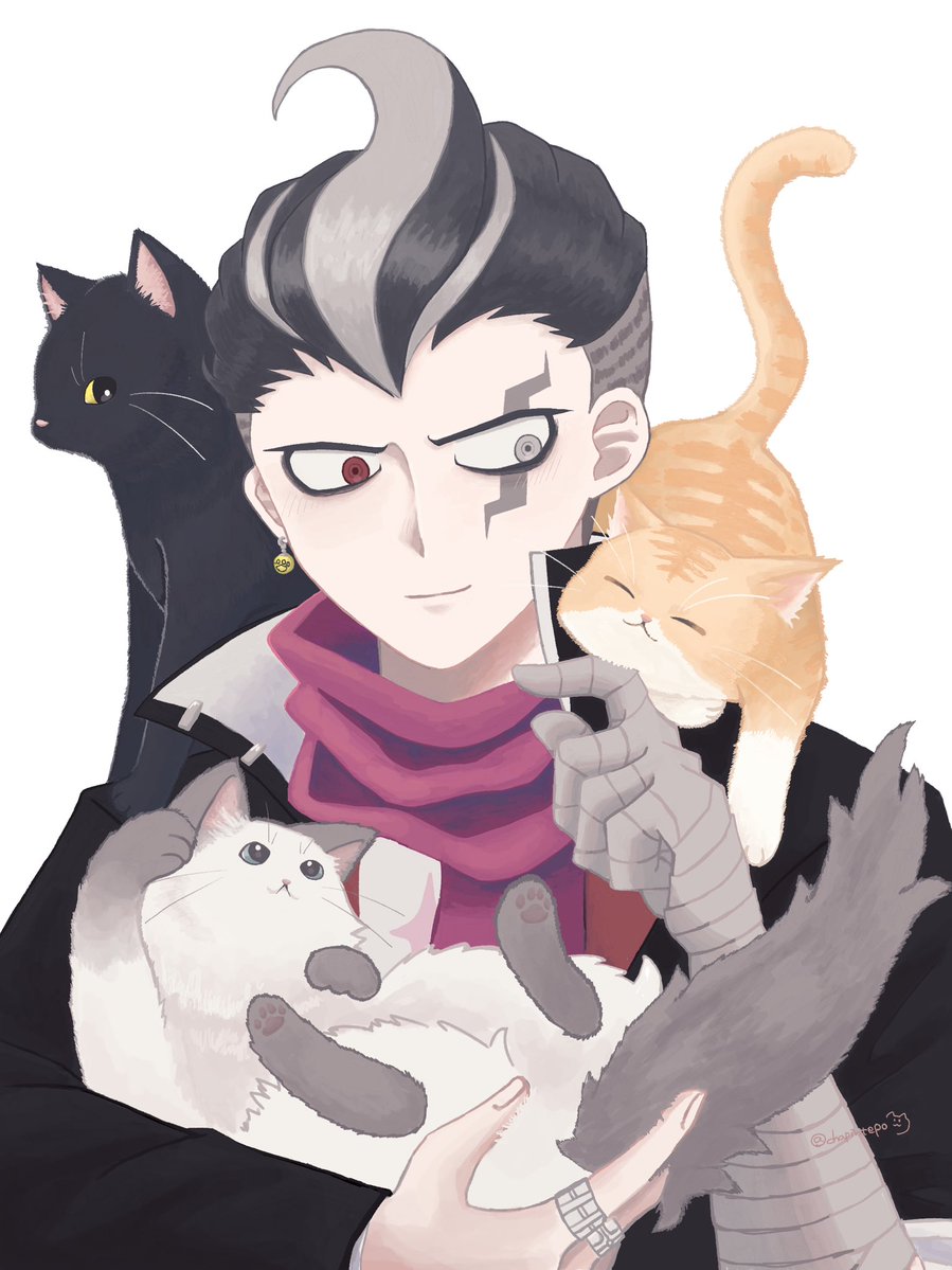 chapintepo's tweet photo. 猫モテだむ https://t.co/BgeGtZH6OU