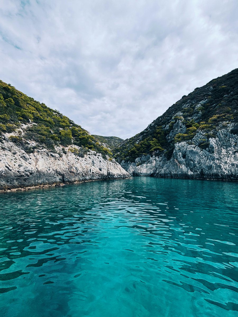 KovalenkoM95036's tweet photo. The day feels different when a roadside tree grows still before night. An old promise. https://t.co/68tfWy4n1C