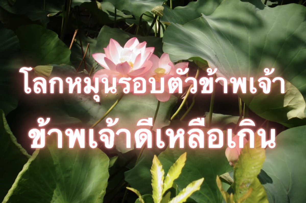 Iaunza's tweet photo. https://t.co/nctlvPsgUP