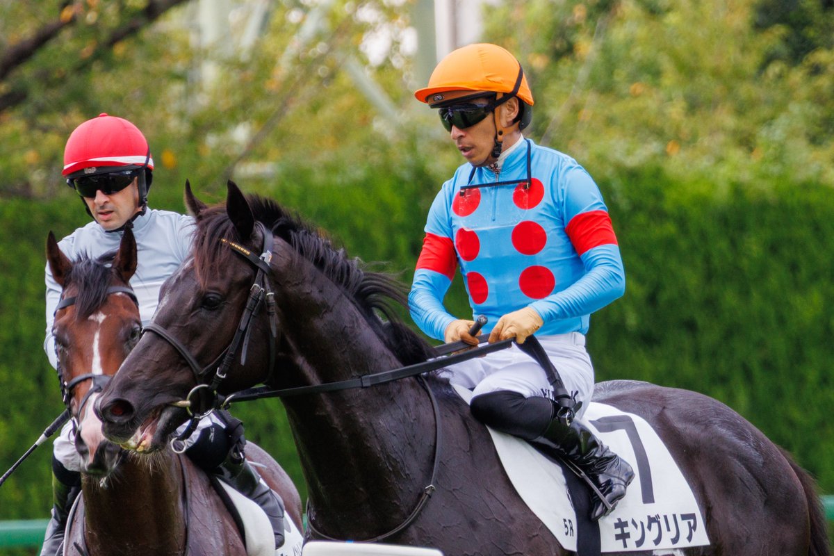 __tpuma's tweet photo. 2026.09.21
5R 2歳新馬
📍阪神競馬場

キングリア
川田将雅騎手
中内田充正厩舎
シルクレーシング

気性が心配とコメントがありましたが
レースきっちり決めましたね✨
活躍が楽しみです( ᐡᴗ  ̫ ᴗᐡ)❣️ https://t.co/OjXXZkyEk2