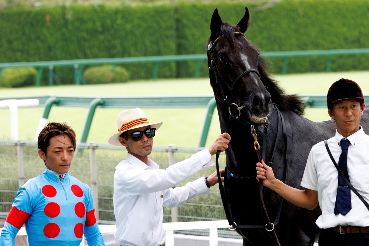 __tpuma's tweet photo. 2026.09.21
5R 2歳新馬
📍阪神競馬場

キングリア
川田将雅騎手
中内田充正厩舎
シルクレーシング

気性が心配とコメントがありましたが
レースきっちり決めましたね✨
活躍が楽しみです( ᐡᴗ  ̫ ᴗᐡ)❣️ https://t.co/OjXXZkyEk2