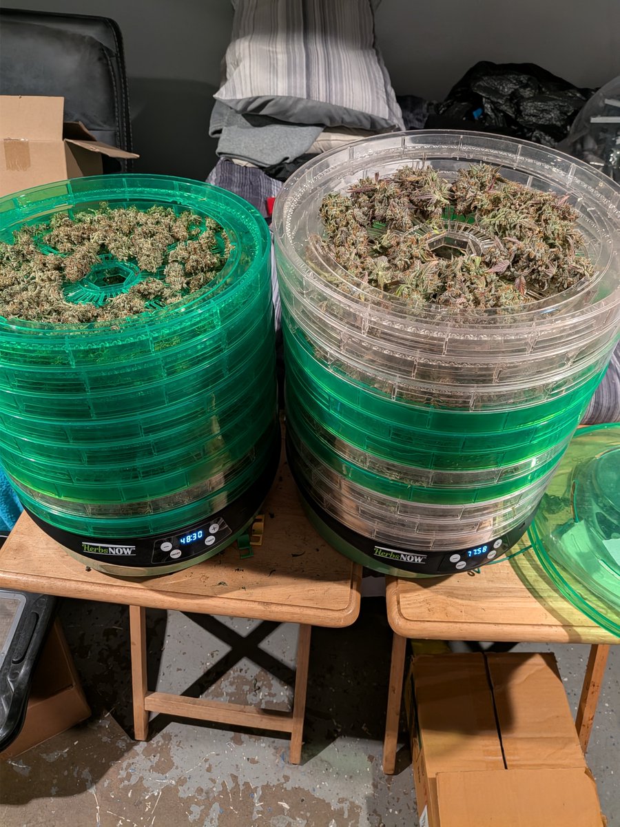 ysell55's tweet photo. @letmeknowbarry @HerbsNOW_USA Why stop at just one get another one and another one and another one https://t.co/WMidruN1dp