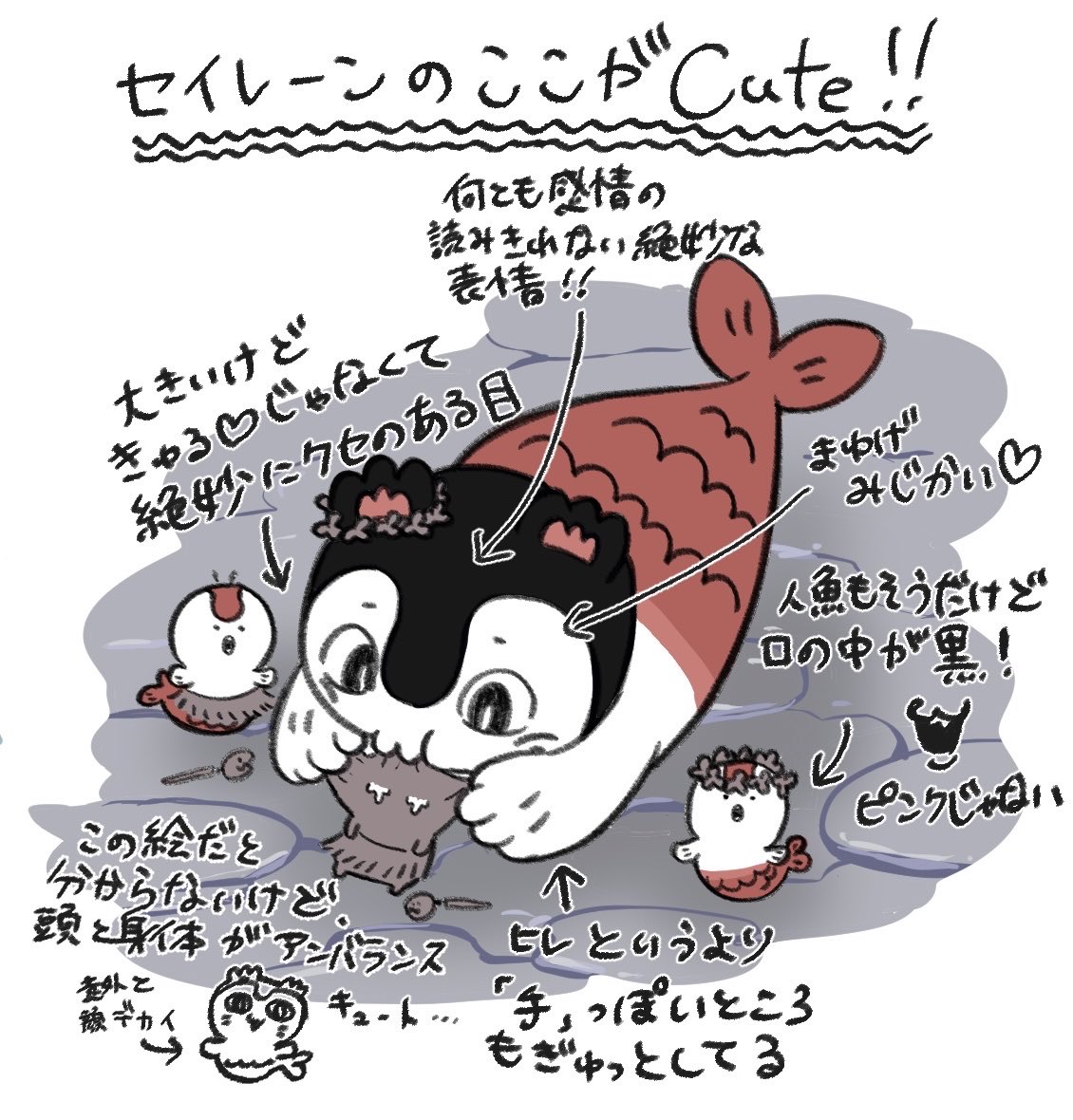 mitcheyddd's tweet photo. セイレーンのここが可愛いぞ！！！ポイント https://t.co/BX28PRAfBh